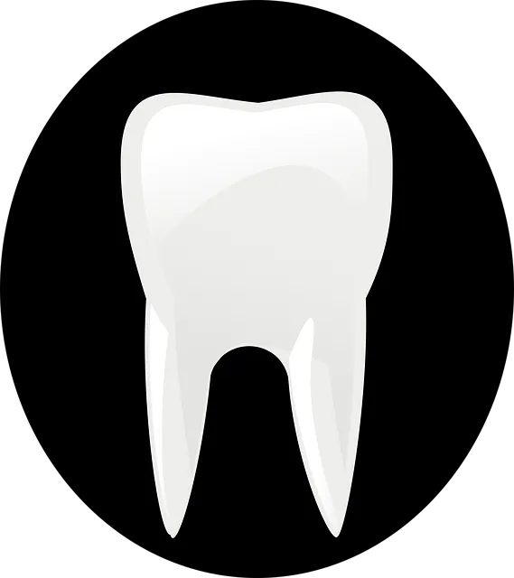 dental mcallen tx