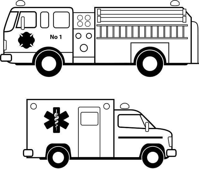 emergency dentist mcallen tx