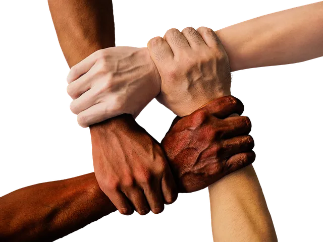 dentist-it-support-mcallen-tx-640x480-18108393.png